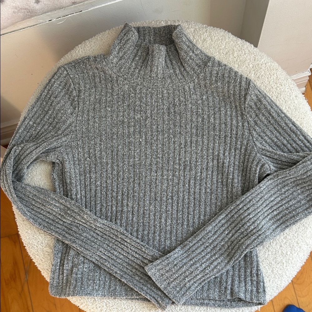 Aritzia Gray Ribbed Turtleneck Crop